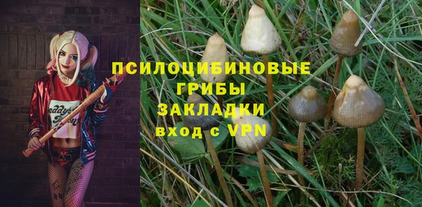 бошки Володарск