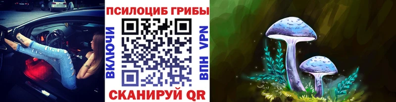 Псилоцибиновые грибы GOLDEN TEACHER  Купить закладки  Павлово 