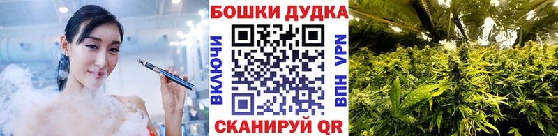 Купить  Павлово  Бошки Шишки VHQ 